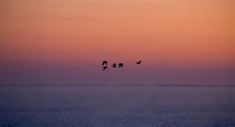 Hintergrundbilder V Gel Sonnenuntergang Meer Rot Betrachtung