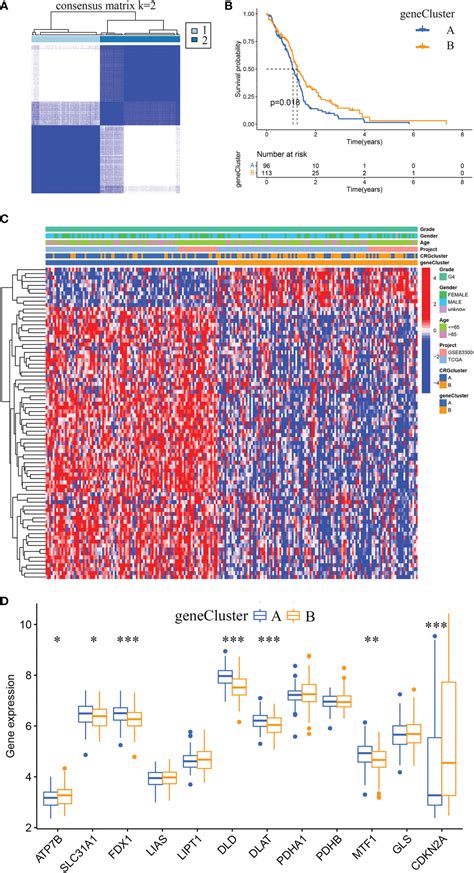 Frontiers Construction And Validation Of A Cuproptosis Related