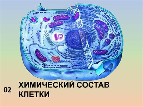 Химический состав клетки 6 класс презентация, доклад