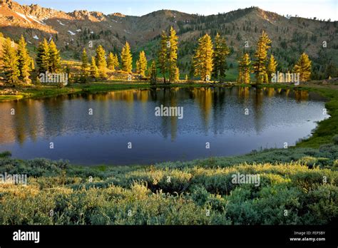 California Late Afternoon At Upper Boulder Lake In The East Boulder