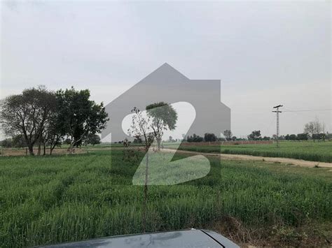 16 Kanal Farm House Land In Available For Sale In Bedian Road Jahman