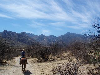 Trail Riding and Camping in the Great State of Arizona