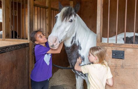 Ealing Riding School ABRS+ Approved | Association of British Riding Schools