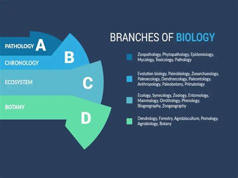 33 Branches of Biology: A Comprehensive Outline - Earth How