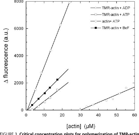 Figure 3 From Analysis Of Tetramethylrhodamine Labeled Actin