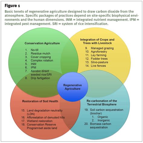 regenerative agriculture diagram charts diagrams graphs