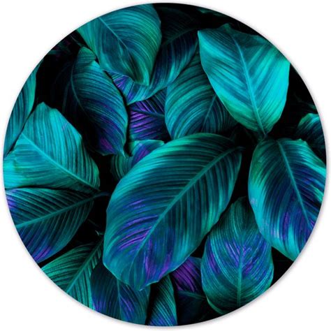 Muurcirkel Green Purple Plant Ø 120 Cm Forex