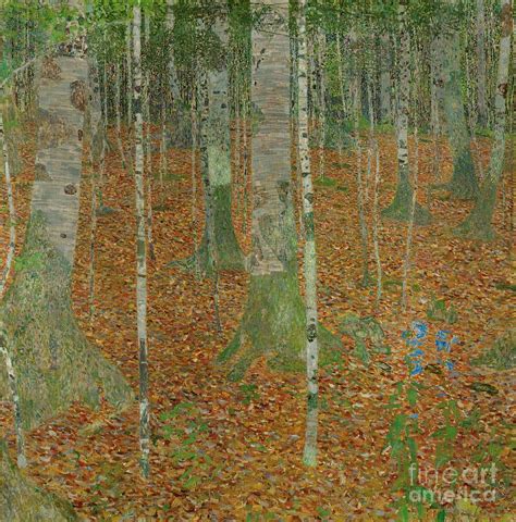 Birch Forest Painting by Gustav Klimt | Pixels