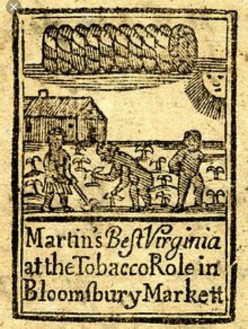 America colonial tobacco- John Rolfe first grew tobacco in American