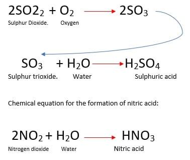 Acid Rain Experiment Lab Report