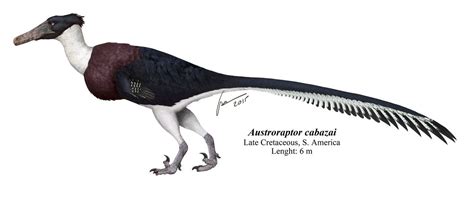 Utahraptor size next to human. : r/Dinosaurs