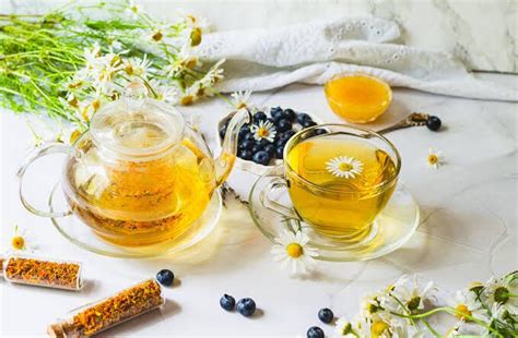 Health Benefits Of Drinking Chamomile Tea Agric Profits