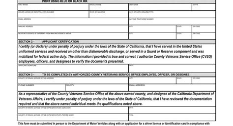 Vsd 001 Form Fill Out Printable PDF Forms Online