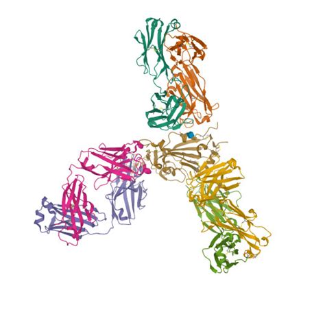 Rcsb Pdb Jx Mapping Neutralizing And Immunodominant Sites On The