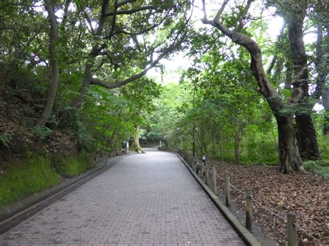 140 – July 5, (2) Kagoshima – Shiroyama Park – SecretNest