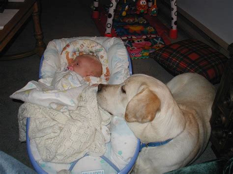 Kids Can Sleep Tight Knowing Their Dog Friend Watches Their Back The