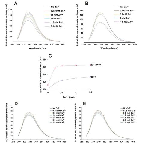 Conformational Change In Trp Calreticulin Mutants Intrinsic