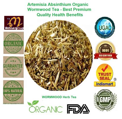 Wormwood Artemisia Absinthium Latest Price Manufacturers Suppliers