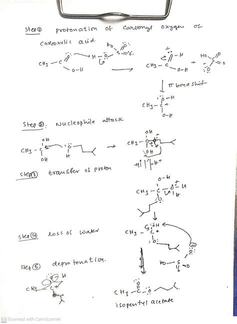 [Solved] Synthesis of isopentyl acetate (banana oil) Isopentyl acetate can... | Course Hero