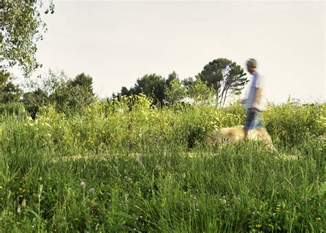 art  walking  everyday artist