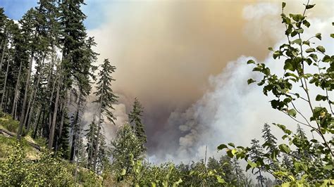 Bedrock Fire southeast of Eugene prompts Level 3 evacuations | kgw.com