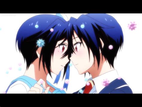 Reaction Review Nisekoi Season 2 Episode 2 Anime Amino