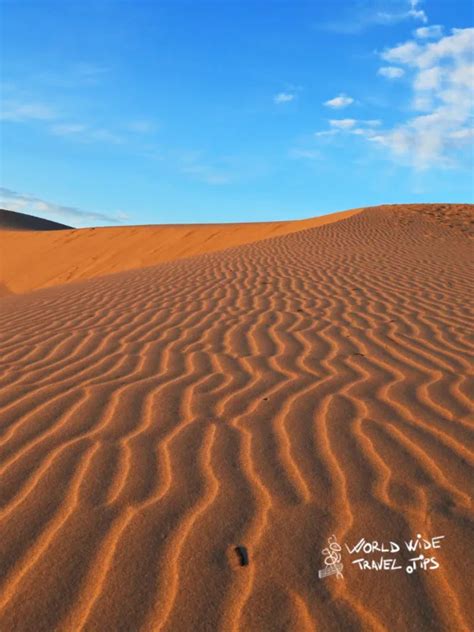 Monahans Sandhills State Park Complete Guide