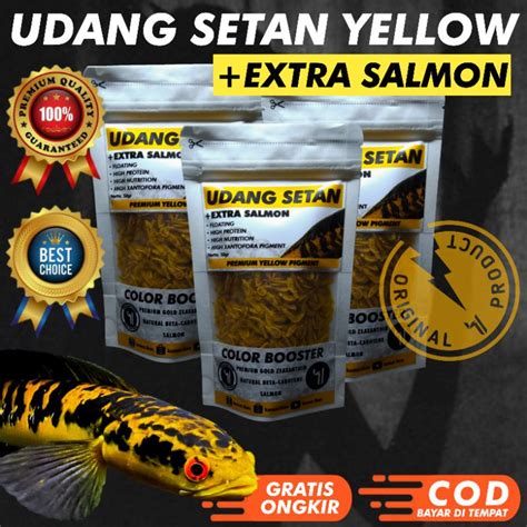 Jual UDANG KERING SETAN YELLOW PAKAN IKAN CHANNA Shopee Indonesia