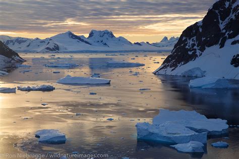 Danco Island Sunset Antarctica Photos By Ron Niebrugge