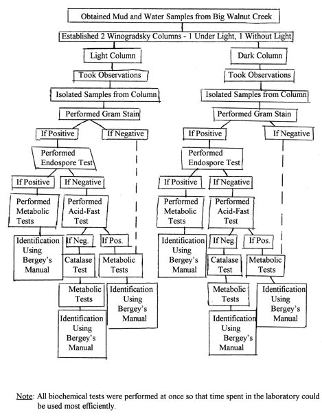 Unknown Bacteria Flow Chart Humphryrangels Blog