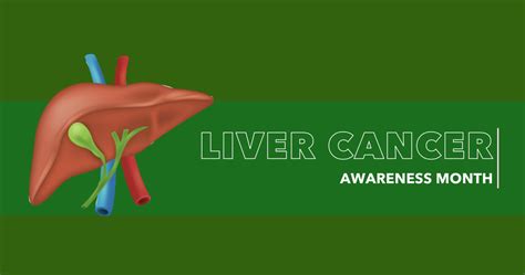 Liver Cancer Awareness Month Campaign School Of Medicine And Health Sciences