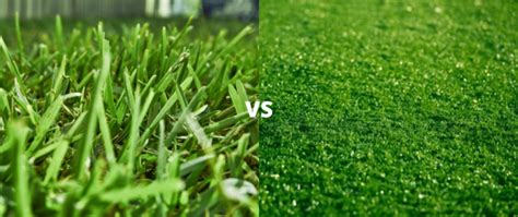 Natural Turf Vs Artificial Grass Which Is The Best Fit For Your