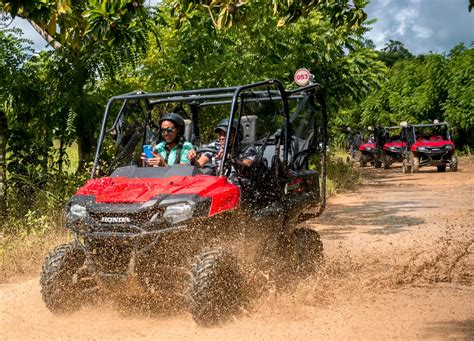 Excursi N Polaris Punta Cana Ms Dreamers Excursiones En Punta Cana