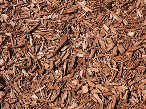 The Ultimate Guide To The Different Types Of Mulch Fox Landscape Supply