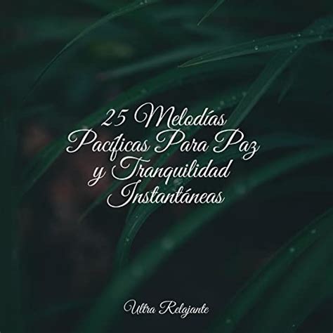 Play 25 Melodías Pacíficas Para Paz y Tranquilidad Instantáneas by