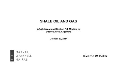 Pdf Shale Oil And Gas Marval Dokumentips