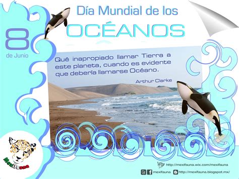 De Junio D A Mundial De Los Oc Anos Para Ni Os Protejamos Juntos El