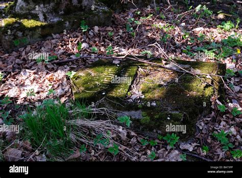 Abandoned Cemetery Castolovice Ceska Lipa Czech Republic The