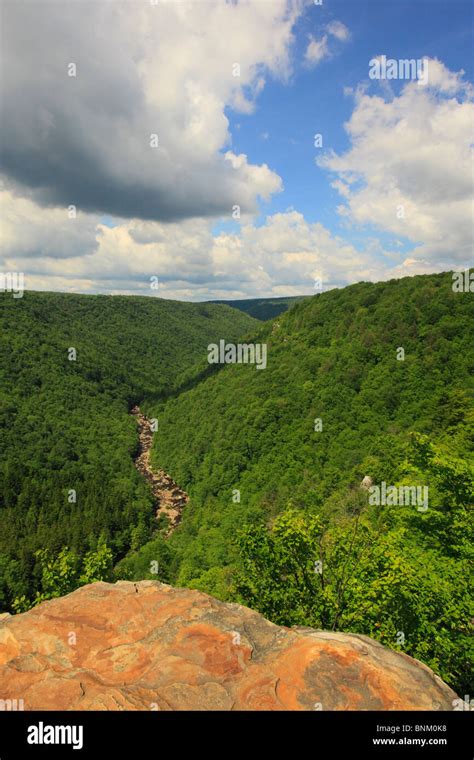 Hiker Looks Into Blackwater River Canyon From Pendleton Point Overlook