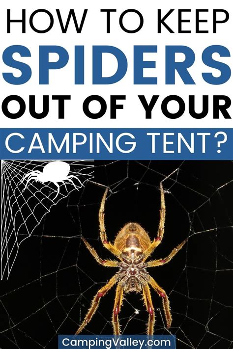 How To Keep Spiders Out Of Your Tent Camping Valley In 2021 Tent Camping Tent Backpacking