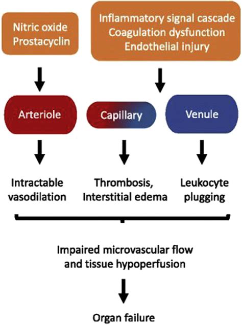 Figure 1 from Fluid Resuscitation in Severe Sepsis. | Semantic Scholar