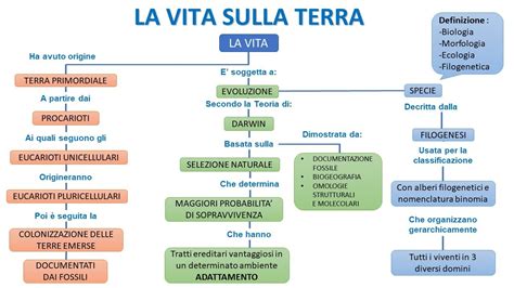 La Vita Sulla Terra In Minuti Youtube