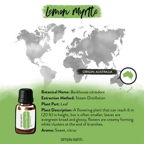 Simply Earth | Lemon Myrtle Essential Oil