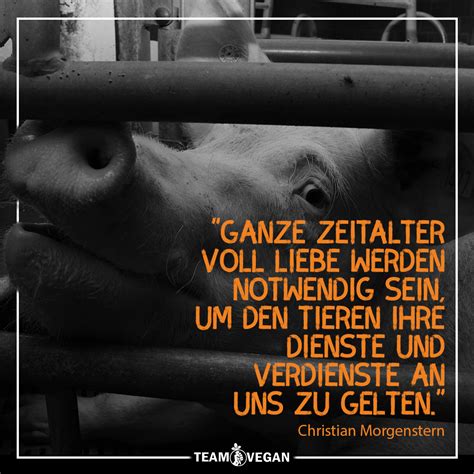 Nette Tipps Zum Thema Zitate Zum Tierschutz Existenz