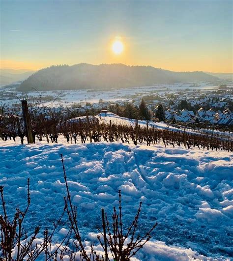 Beste Weine Aus Baden Großer Genuss Im Winter Badischer Wein Wein