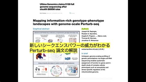 新しいシークエンスパワーの威力がわかるPerturb seq論文解説ニシカワシンイチのジャーナルクラブ YouTube