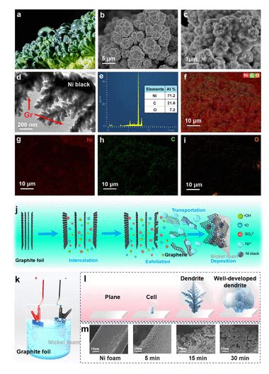 长春工业大学《nano Lett》：西兰花状黑镍石墨烯复合膜，用于太阳能热能转换海水淡化 石墨烯网