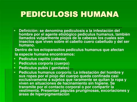 Ppt Pediculosis Powerpoint Presentation Free Download Id740546