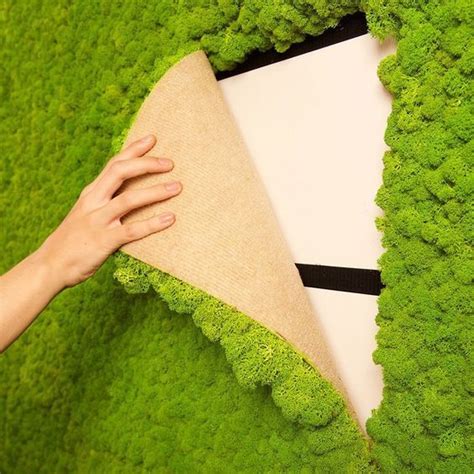 20+ Indoor Living Moss Wall – The Urban Decor