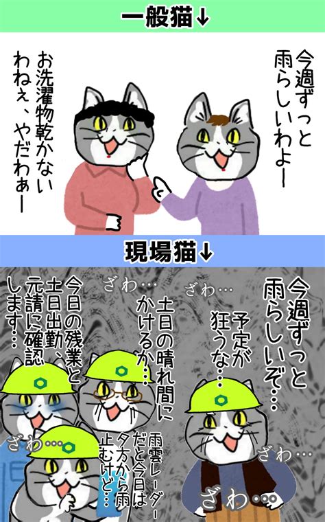 からあげのるつぼ On Twitter 秒で無に帰す工程表 現場猫 Zhoos9hy8s Twitter